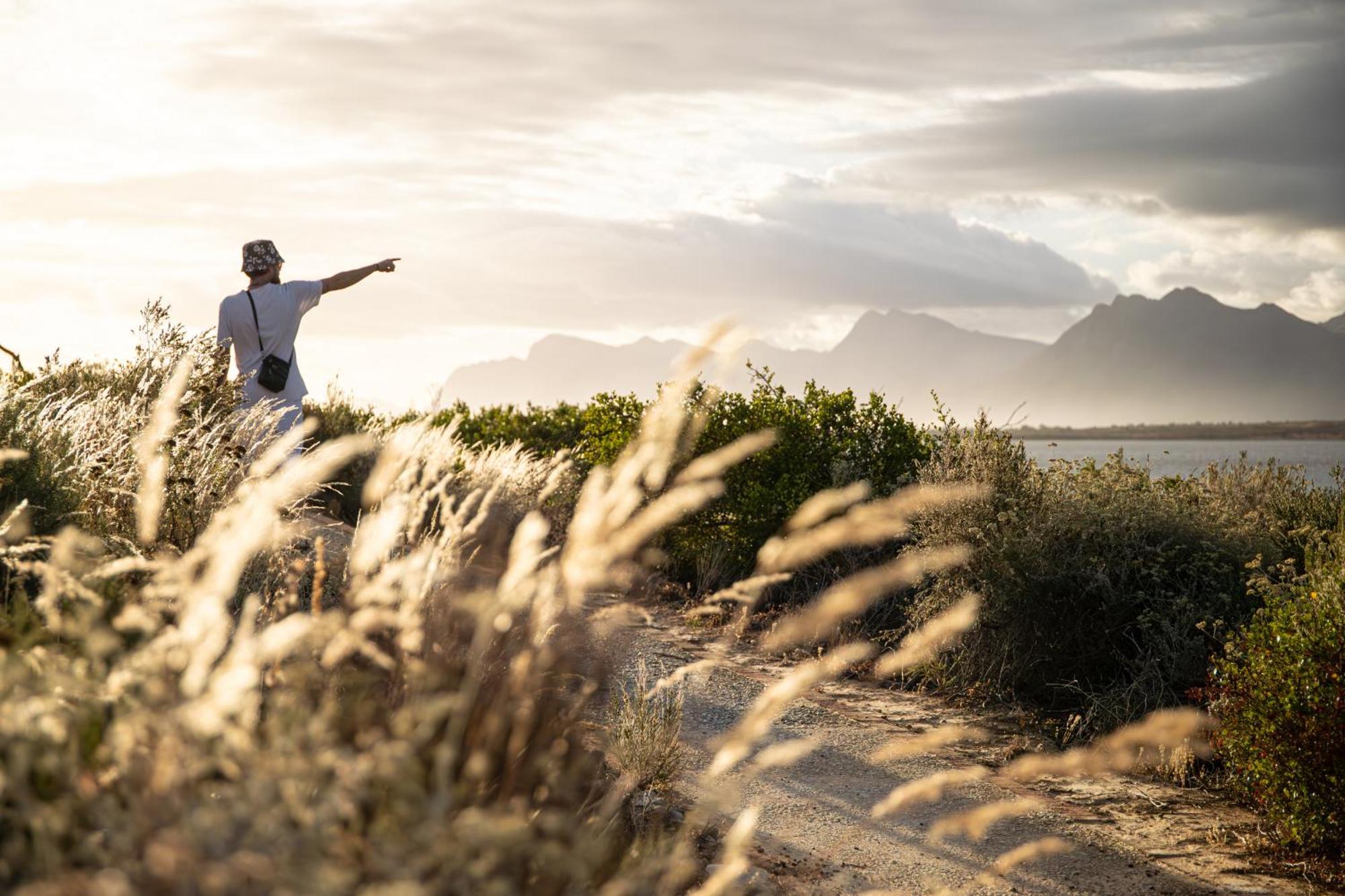 Benguela Cove - Lavender Dreams Hermanus